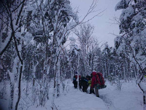 70:13-17.1.2017 «Дивергенция Смирнова, которой не было»