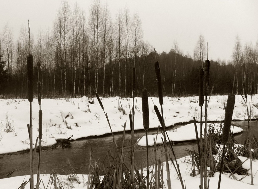 Задумчиво на земле, хорошо..