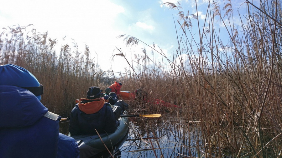 71А: «Льва 3» 17-19 марта 2017