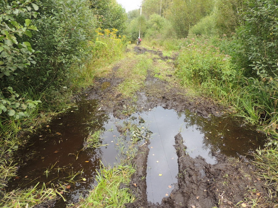 Велогайна-2017