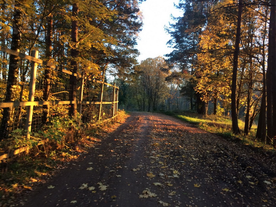76А:С велосипедом по Браславщине 21-22.10.2017г