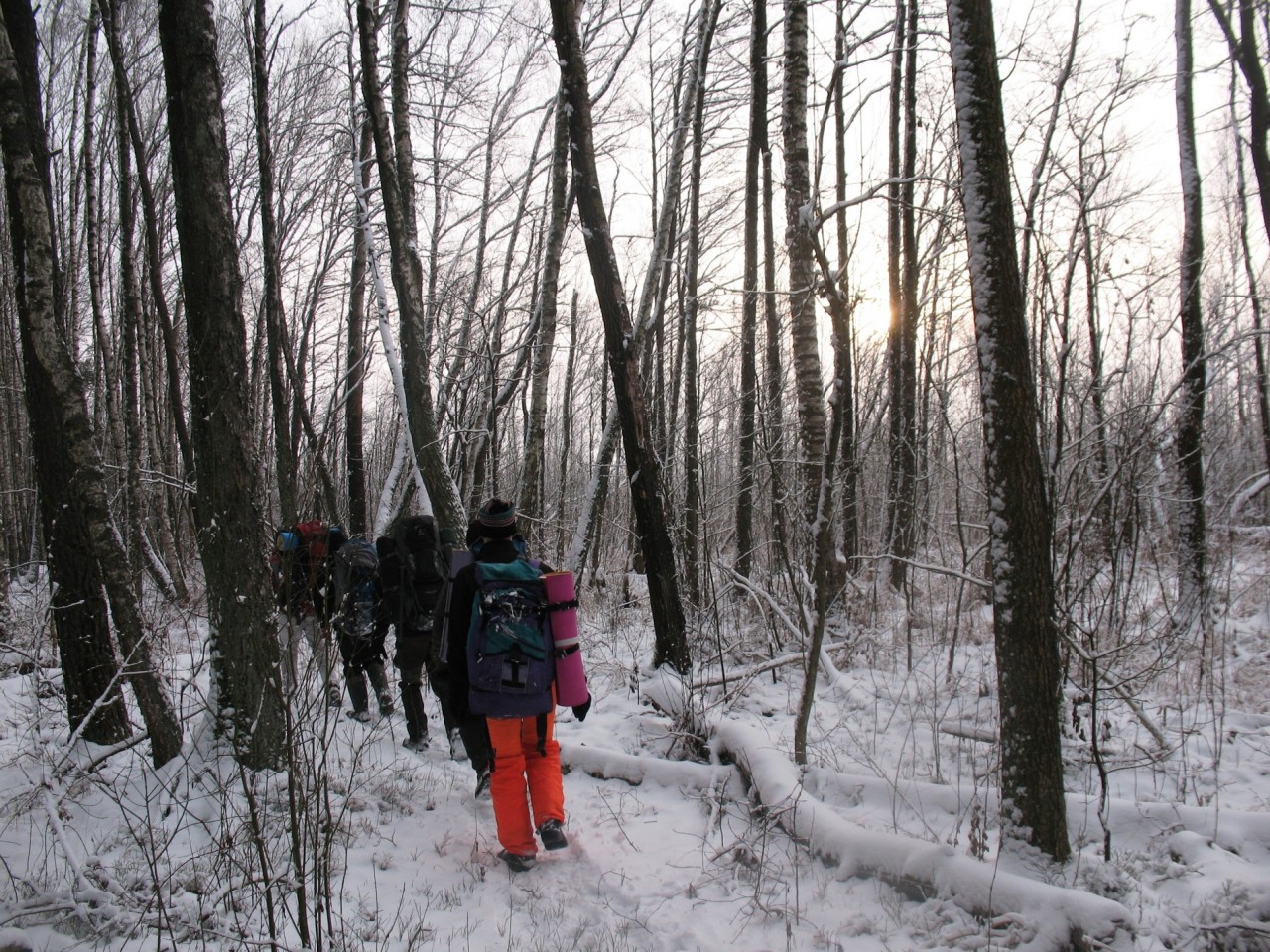 77Б: 9-11.2.2018 "По следам Тихомирова Кирилла 2"