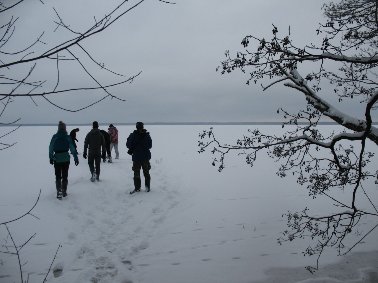 По следам
(отчет о ПВД в ландшафтно-гидрологическом заказнике "Выгонощанское", 9-11.02.2018)