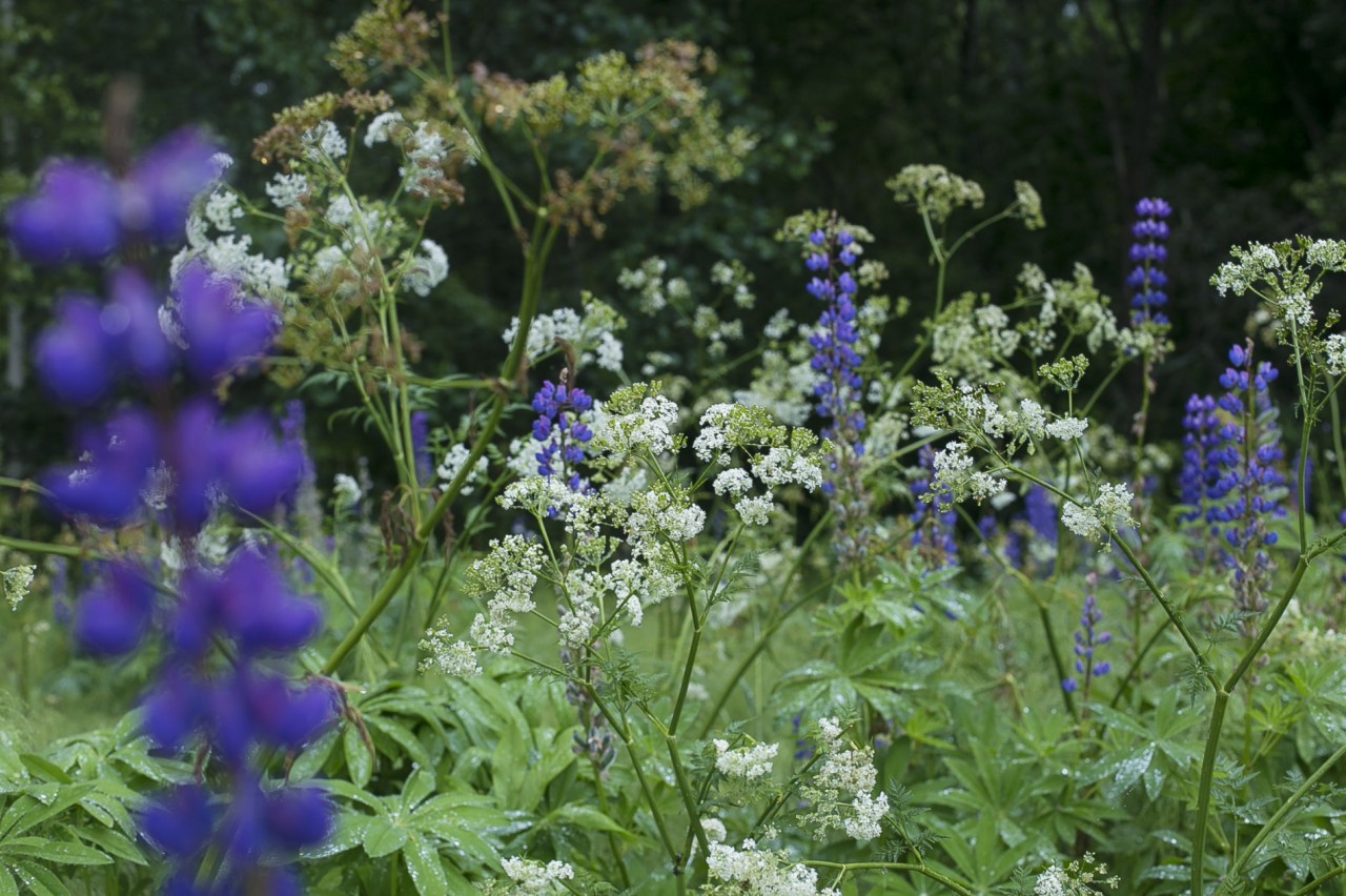 Веловыезд на озера 16-17 июня.