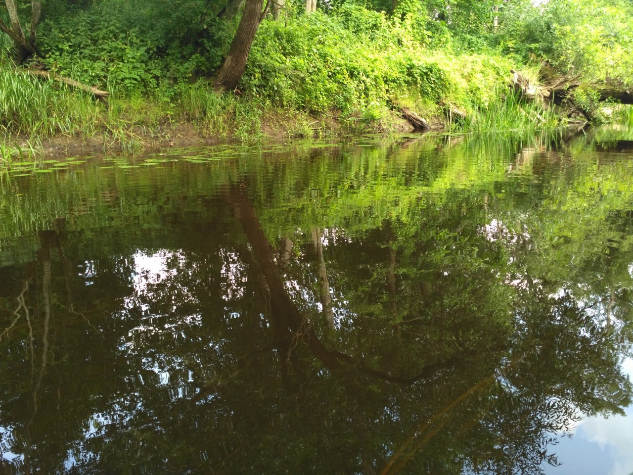 79B:Оболь. Продолжение. Велосипедный вариант. 22-23.7.2018