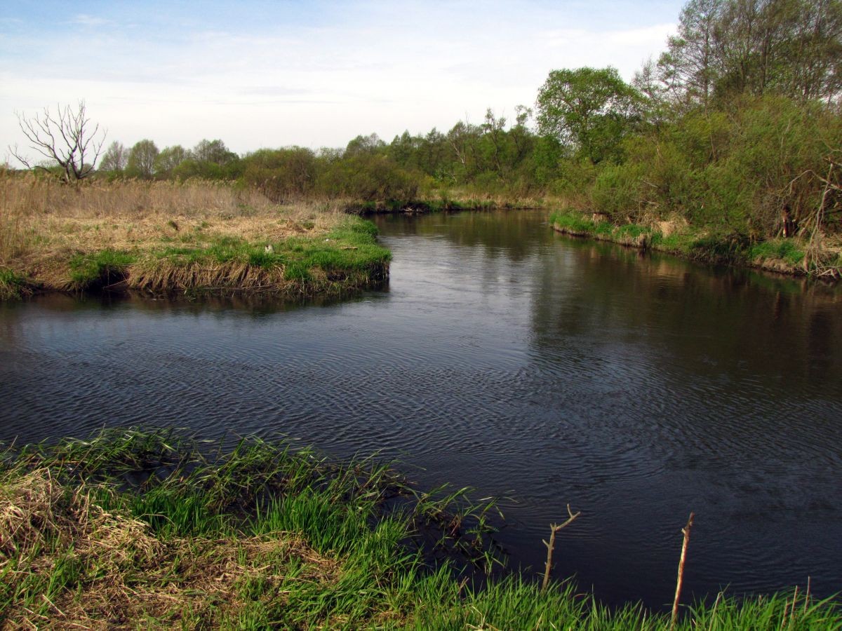 ВелоГайна 2018