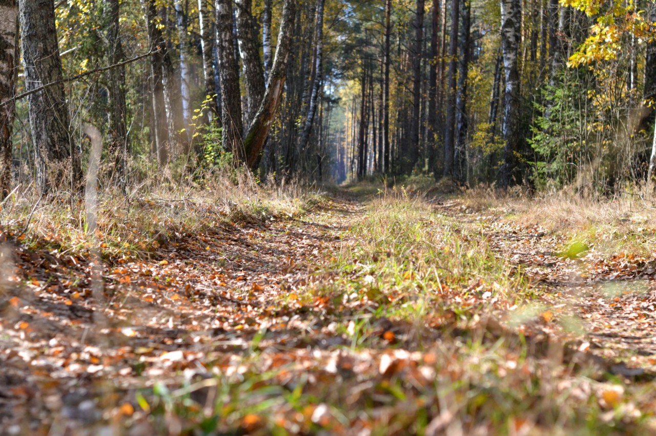 Велофотоотчет "Нарочанский" 13-14 октября 2018 г.
