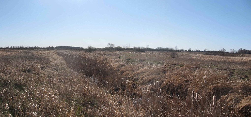 Старое русло