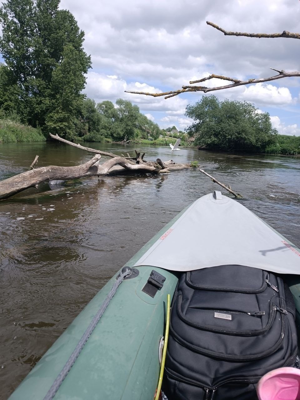 b2ap3_large_suscha-174