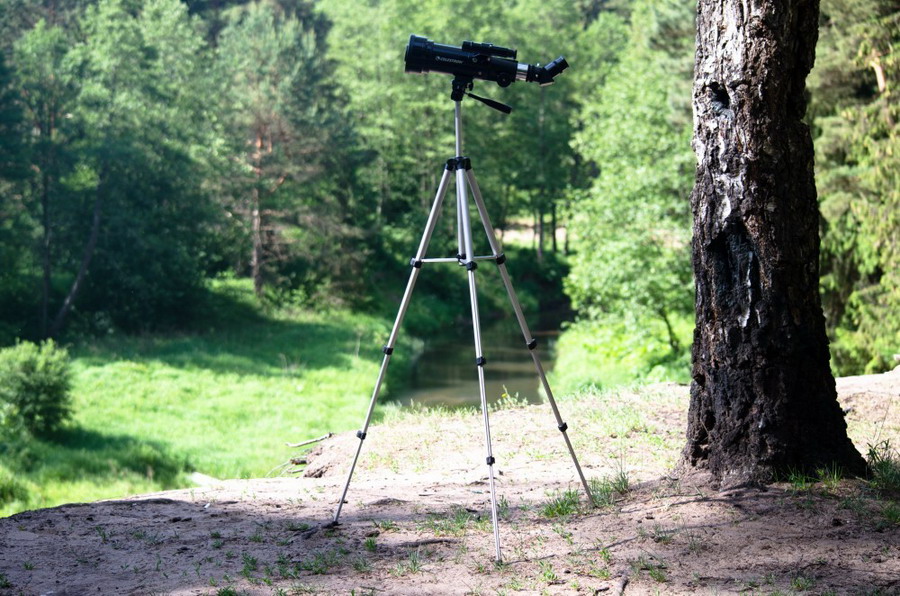 Лесные выходные