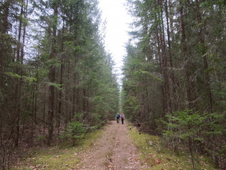 Разведывательно-диверсионный поход И-г-О.