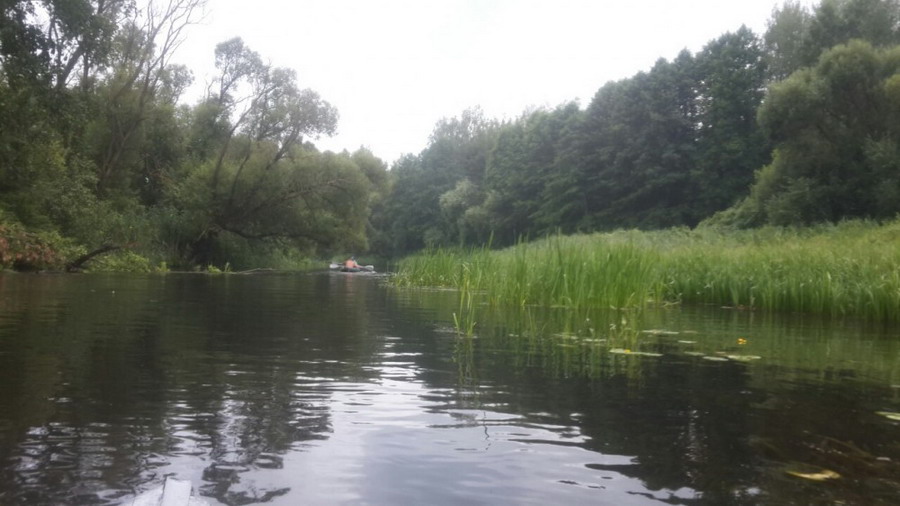 Дюжина в лодках, не считая собаки.