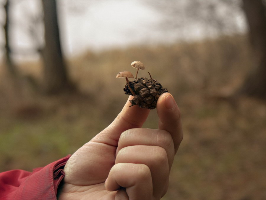 Light Trek - отчет о походе 19-20.2015