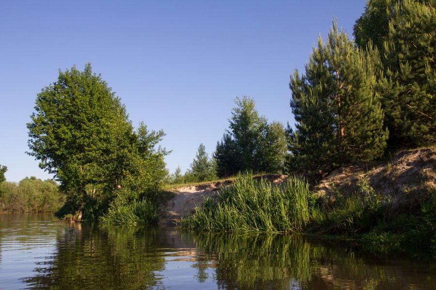 62:«Водно-байдарочный дебют» Июнь 2015г Морочь- Случь–Припять   