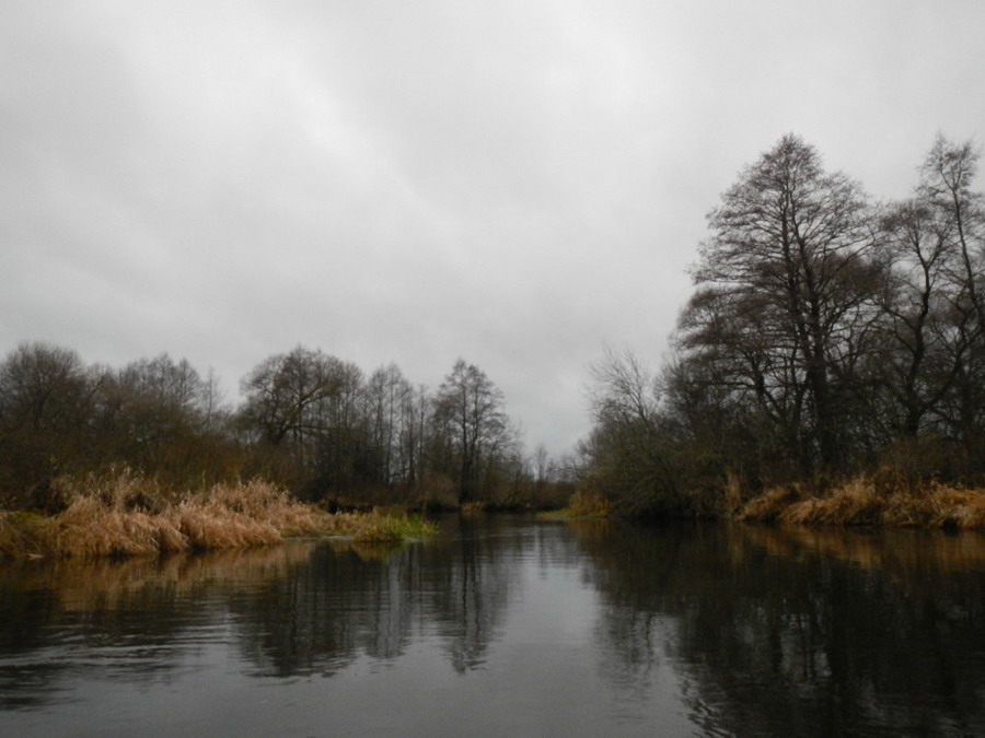 ОТЧЕТ  о походе 64В: 19-20.12.2015 «Одиссея капитана Влада»