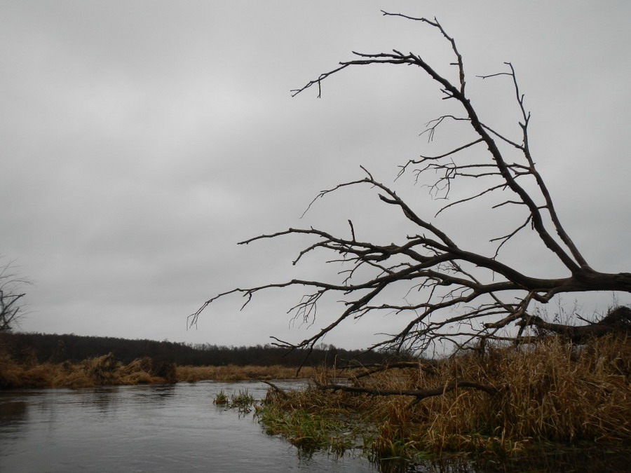 64В: Усяжа-Гайна-Березина 19-20.12.2015