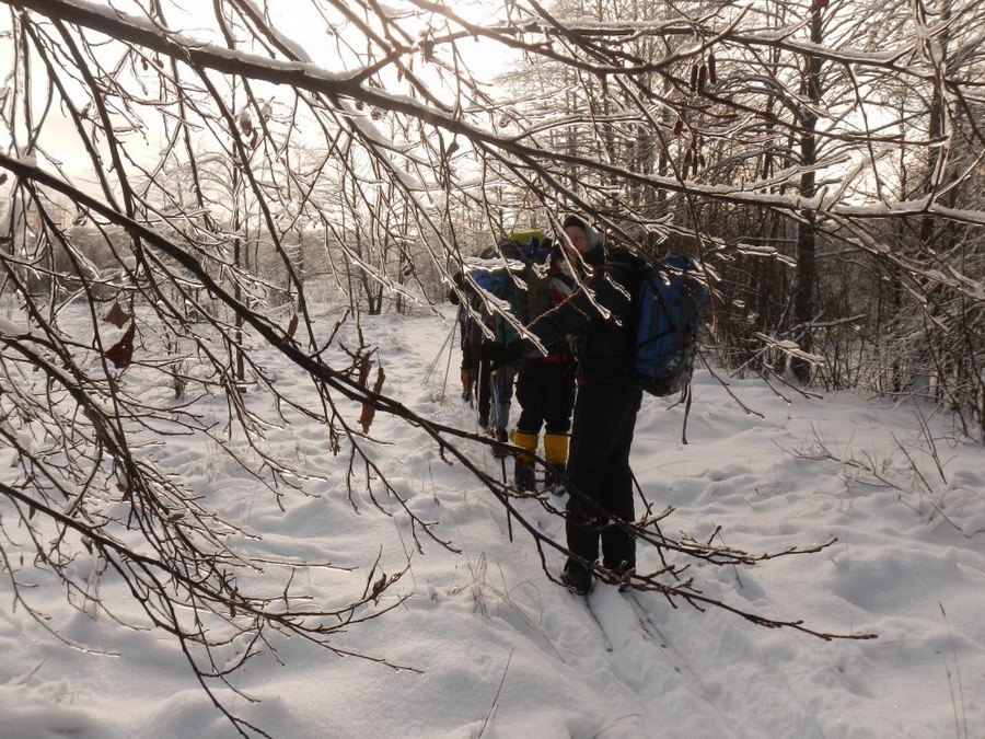 65А: Второе пришествие в снеге 23-24.1.16