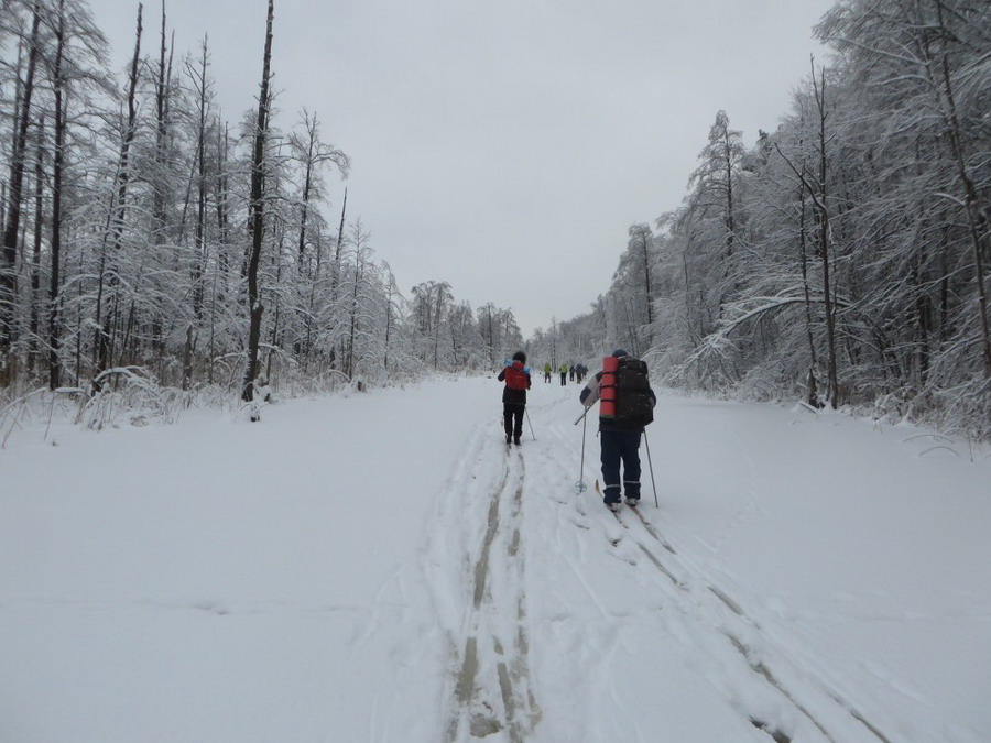 65А: Через Дубовский каскад озер