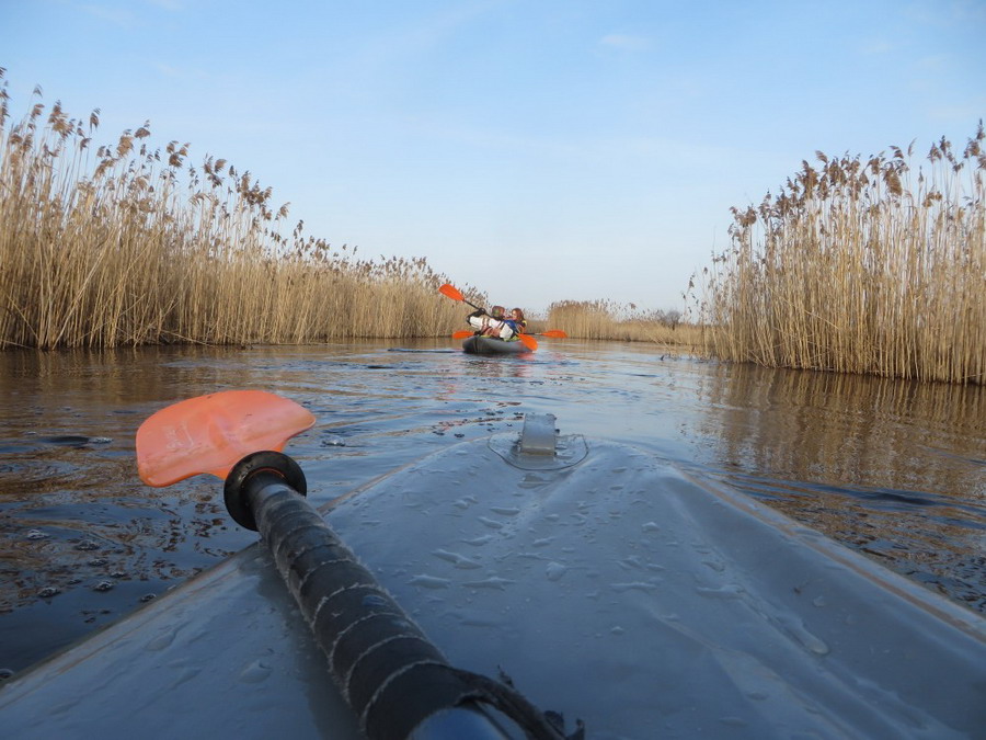 65: Полесье. Весна 2016