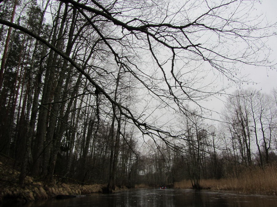 Водный поход 65Б: Из России с любовью и болью. Нища-Дриса 9-10.4.2015