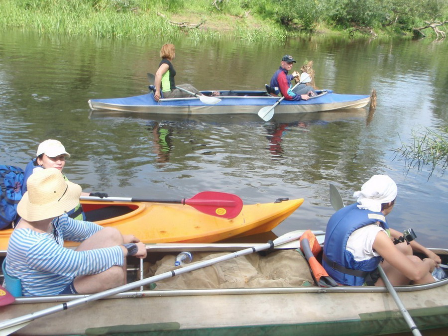 67А: Птичь Нижняя