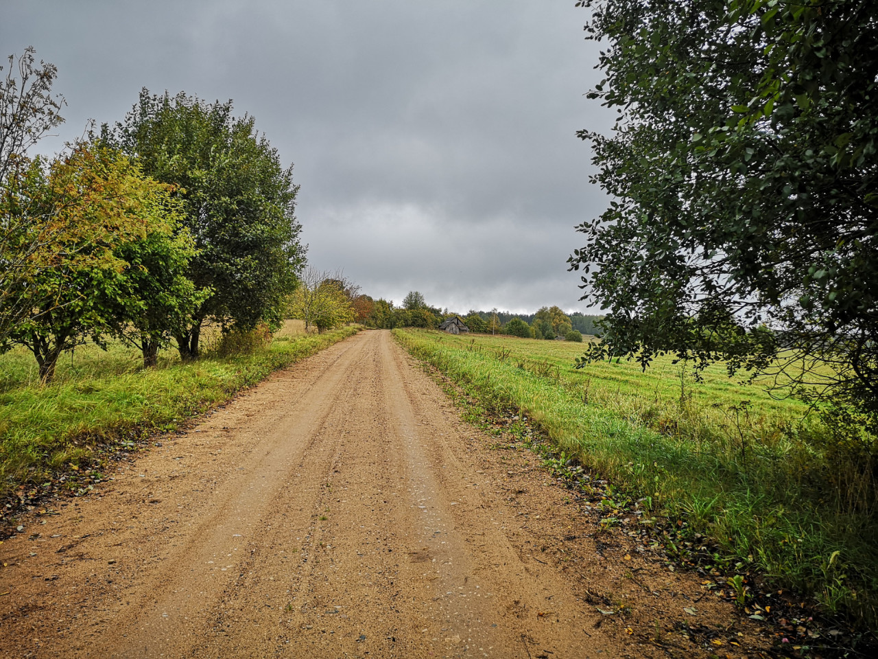 IMG_20190922_13143_20191101-155923_1