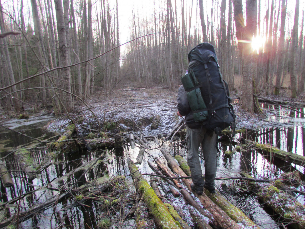 IMG_963_20200320-084247_1