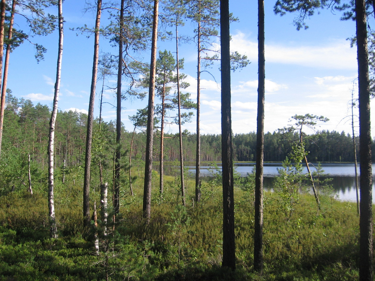 IMG_010_20200830-203018_1