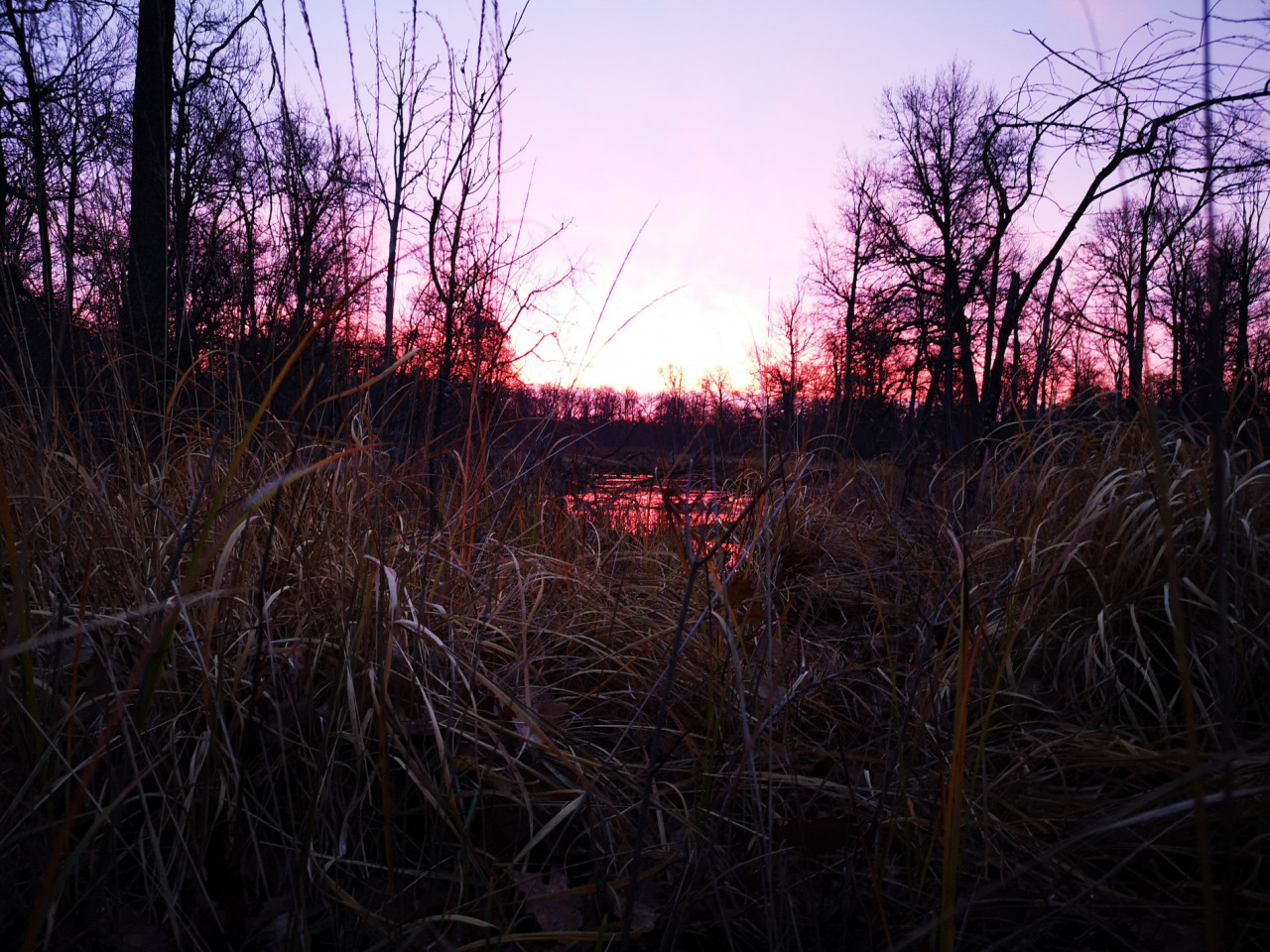 IMG_20201122_08232_20210208-183413_1