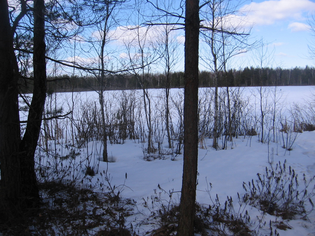 IMG_001_20210312-233053_1