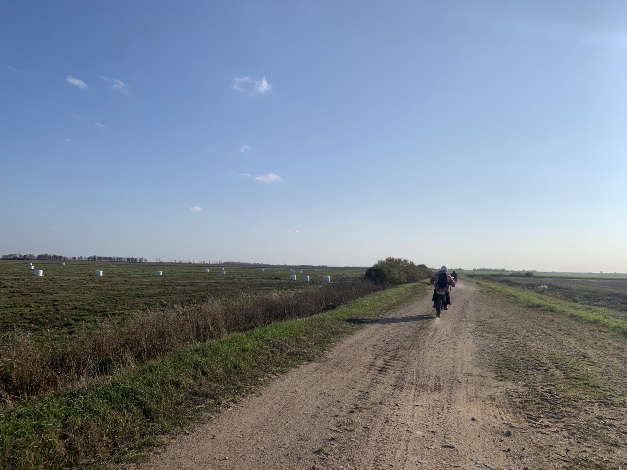 IMG_479_20230112-224118_1