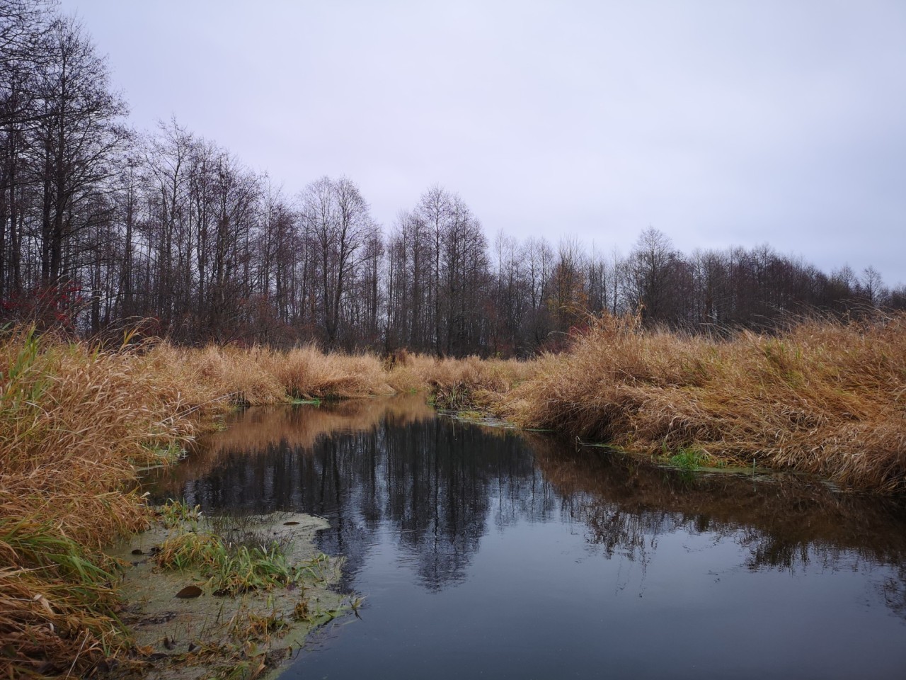 pavlov-18_20221125-104726_1