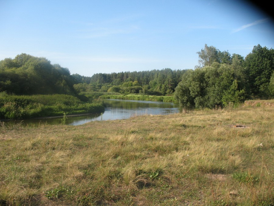   Naphranovich glade