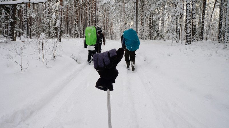 Итоги 2014 года: Критическая масса. Триумф и дистрофия Секты