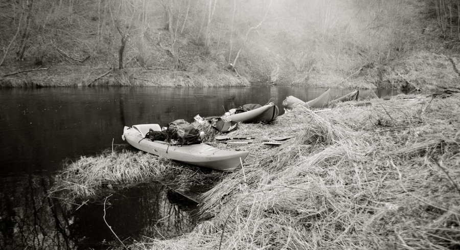 Нищадный 65Б.