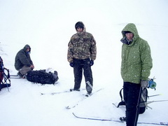 Колючая пурга