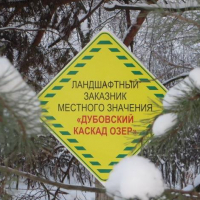 Имя Розы и Клары