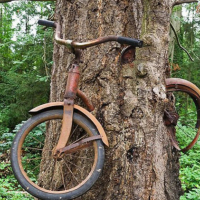 Пасхальная Гайна по классике