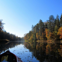 Котра-ностра-2019