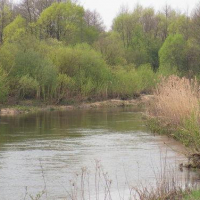 Дитва Дивная