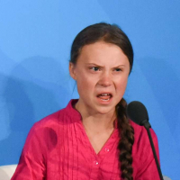 85Б :»Сафари М5-М5-М5»