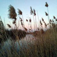 85Д «Осень Патриархов» 12-13 сентября 2020