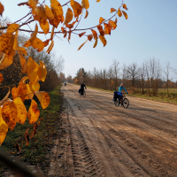 86А «Минкевич Костя 1» 10-11 октября 2020