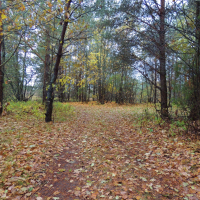 86Б: «Минкевич Костя 2 (Zero Tolerance)» 31.10-01.11.20