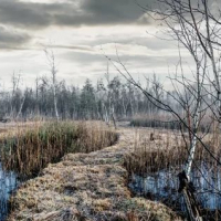 86Д «Напеу Зямлi Маей» 22-24 января 2021