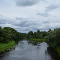 89А «Дрисливый 1»