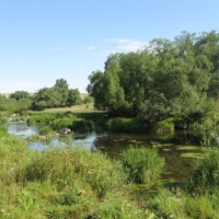 93Б: 8-10 июля 2022 «Лишь Мнюта» 60 км