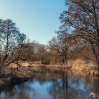 94Г «Те реки будем прославлять, чьё имя Птичь и Шать»