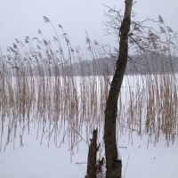 94Д «Планета Добра» 21-22 января 2022