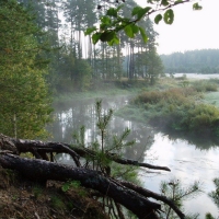 95А Бобр. Воспоминания. 15-16 июля 2023